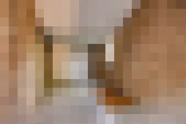 Fazantenhof 47 Schagen thumbnail 37