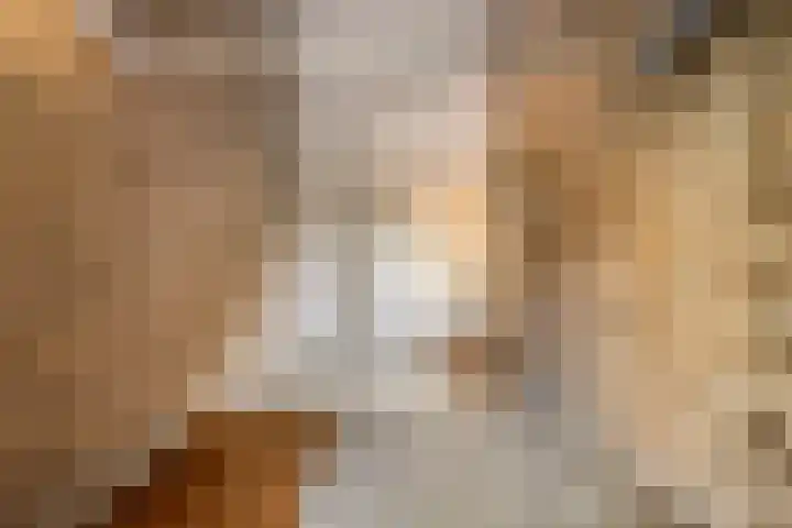 Fazantenhof 47 Schagen thumbnail 38