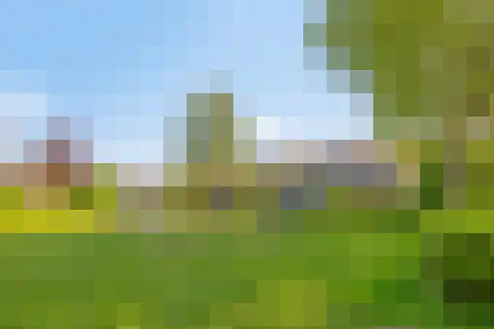 Fazantenhof 47 Schagen thumbnail 39