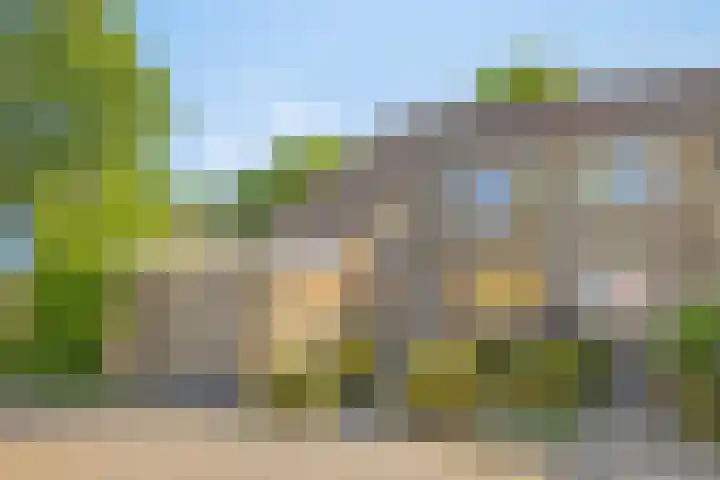 Fazantenhof 47 Schagen thumbnail 6