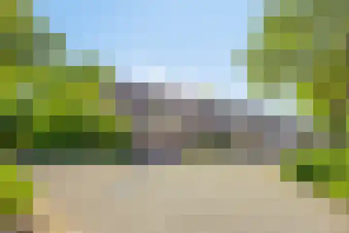 Fazantenhof 47 Schagen thumbnail 8