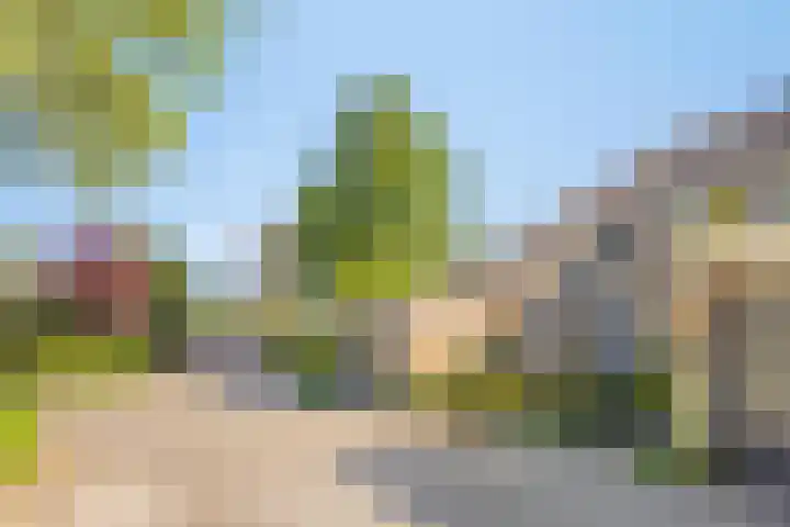 Fazantenhof 47 Schagen thumbnail 9
