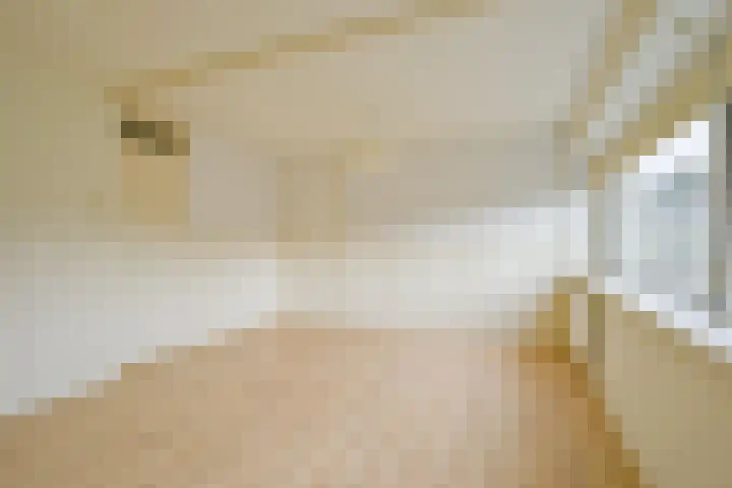 Fazantenhof 5 Schagen thumbnail 20