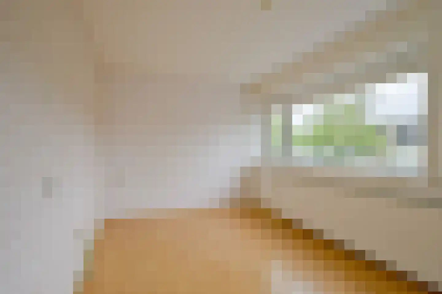 Fazantenhof 5 Schagen thumbnail 23