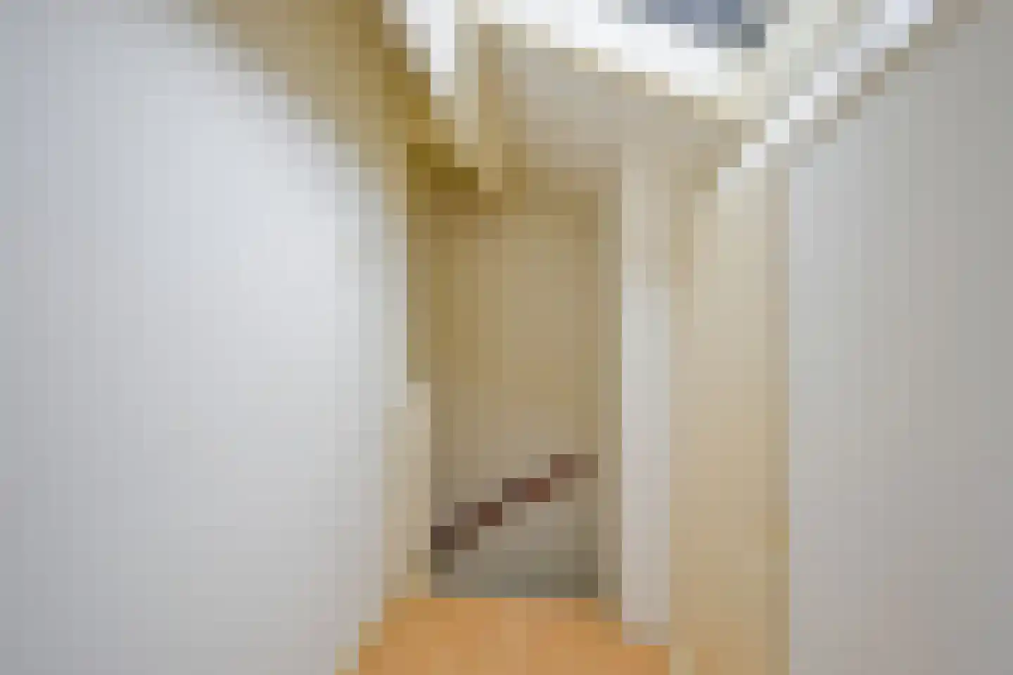 Fazantenhof 5 Schagen thumbnail 31