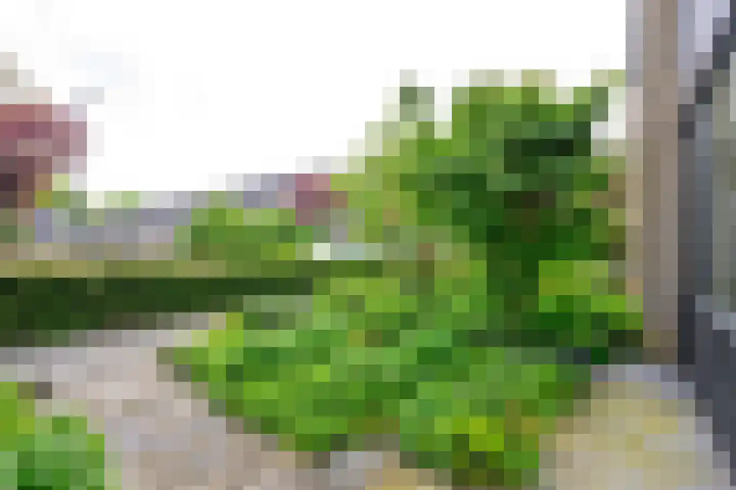 Fazantenhof 5 Schagen thumbnail 33