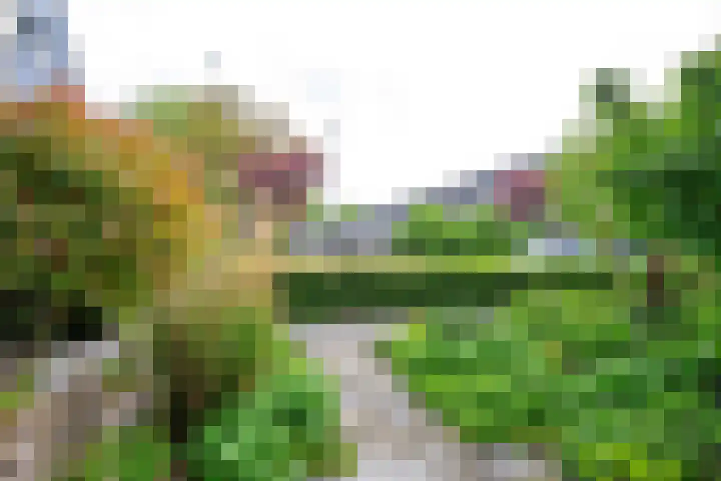 Fazantenhof 5 Schagen thumbnail 34