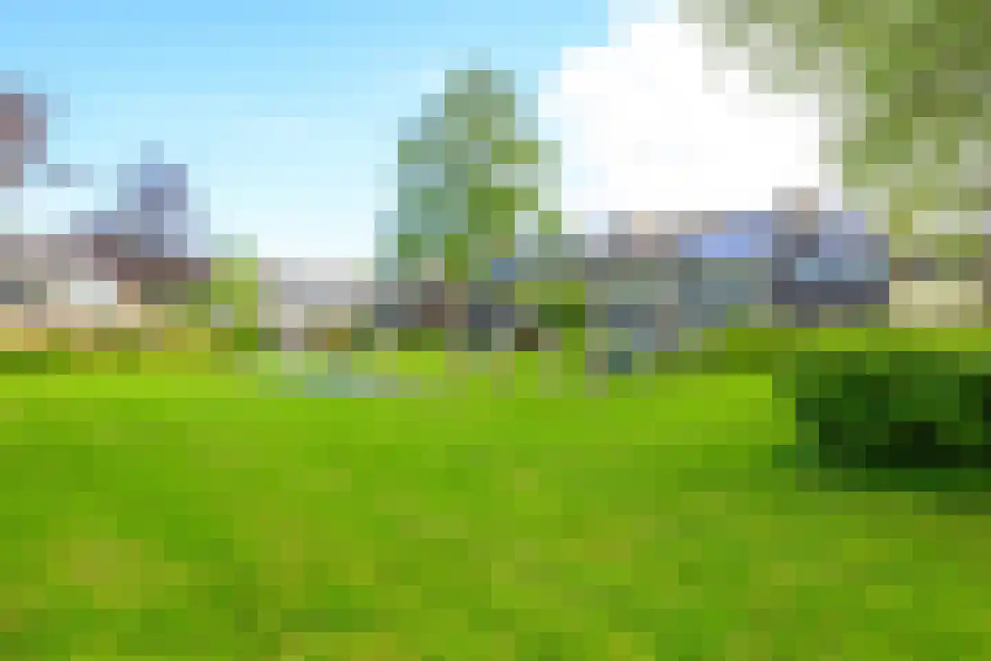 Fazantenhof 5 Schagen thumbnail 37