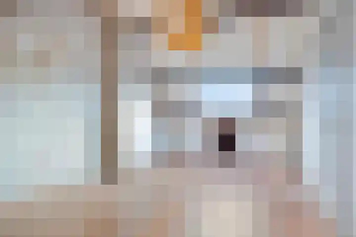 Fazantenhof 50 Eemnes thumbnail 21