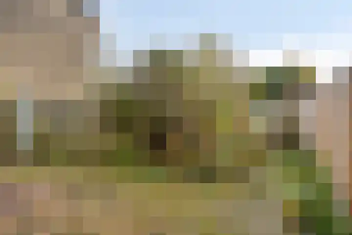 Fazantenhof 50 Eemnes thumbnail 23