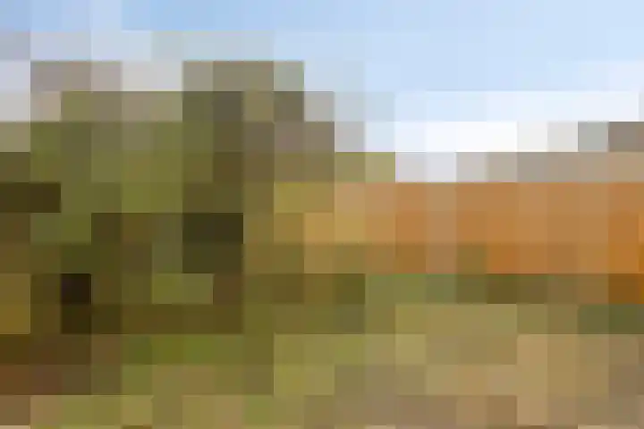 Fazantenhof 50 Eemnes thumbnail 24
