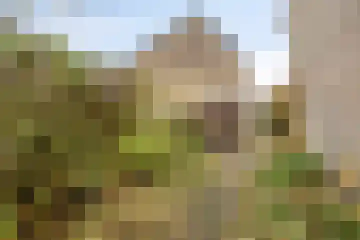 Fazantenhof 50 Eemnes thumbnail 26