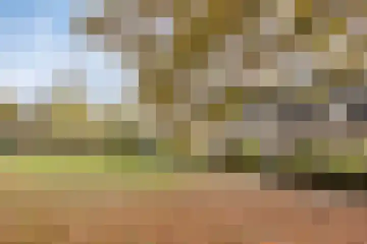 Fazantenhof 50 Eemnes thumbnail 4