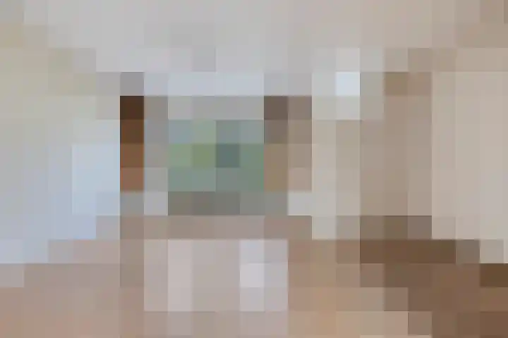 Fazantenhof 50 Eemnes thumbnail 6