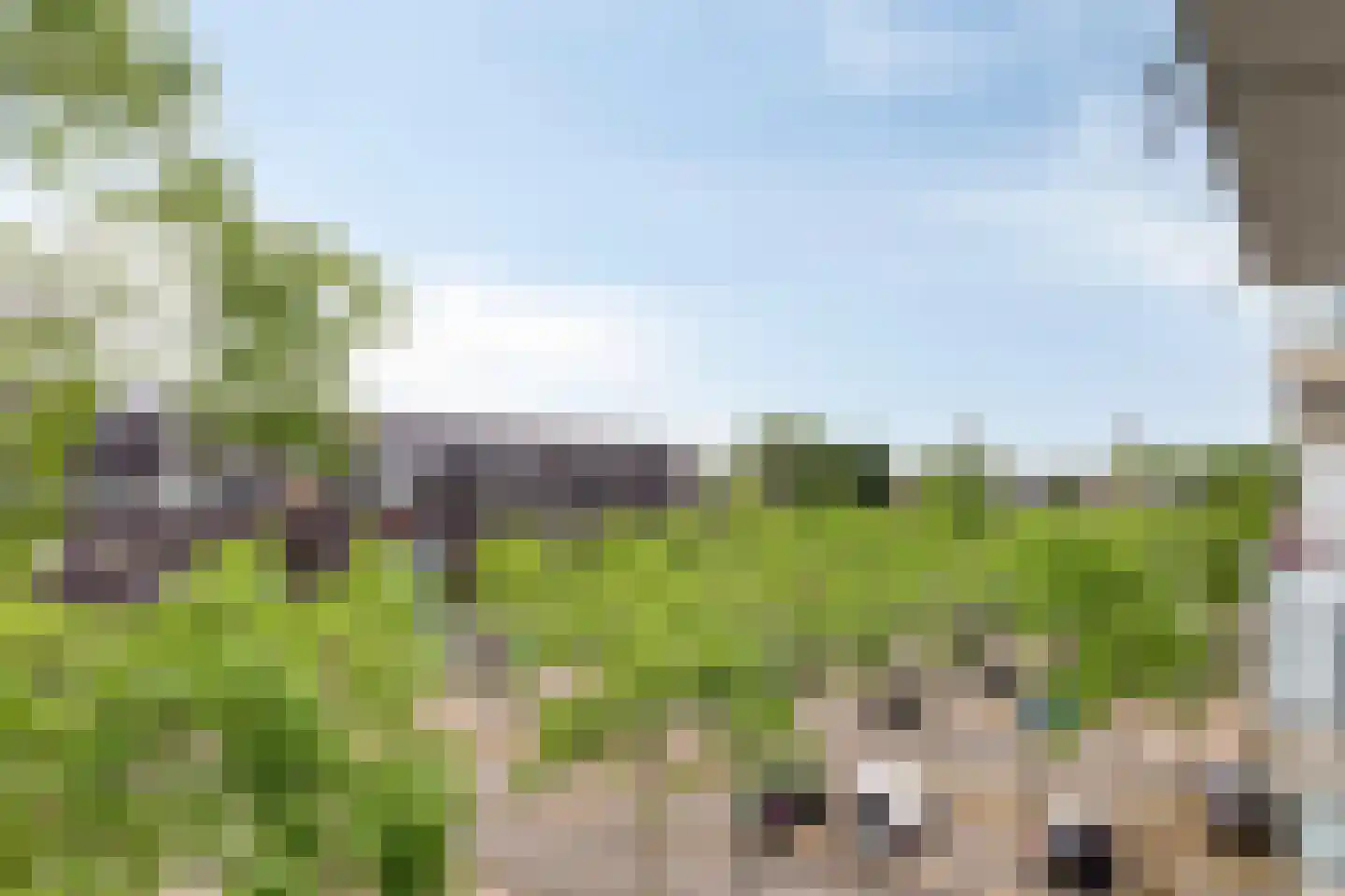 Fazantenhof 53 Middelburg thumbnail 21