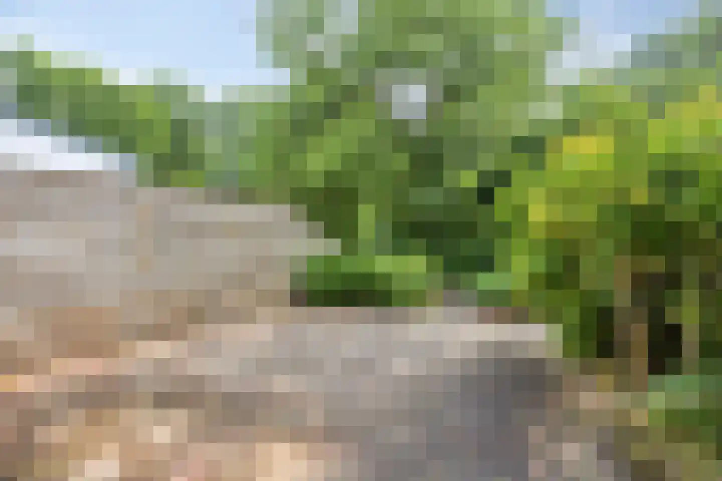 Fazantenhof 61 Schagen thumbnail 28