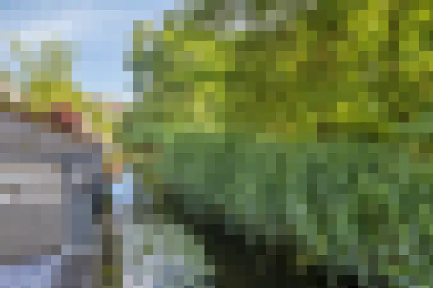Fazantenhof 61 Schagen thumbnail 33