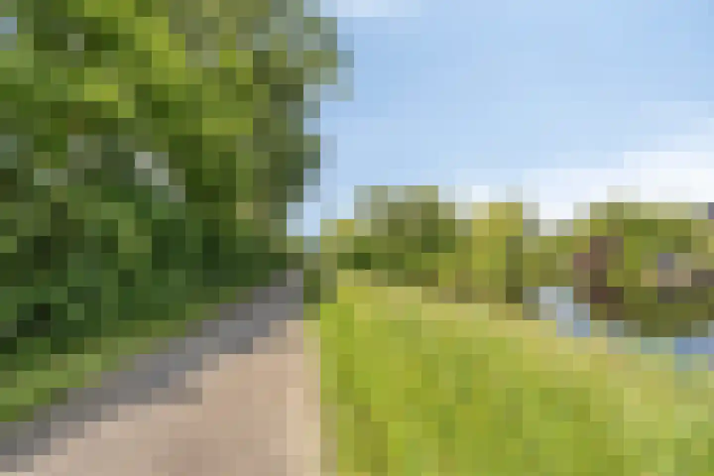 Fazantenhof 61 Schagen thumbnail 37