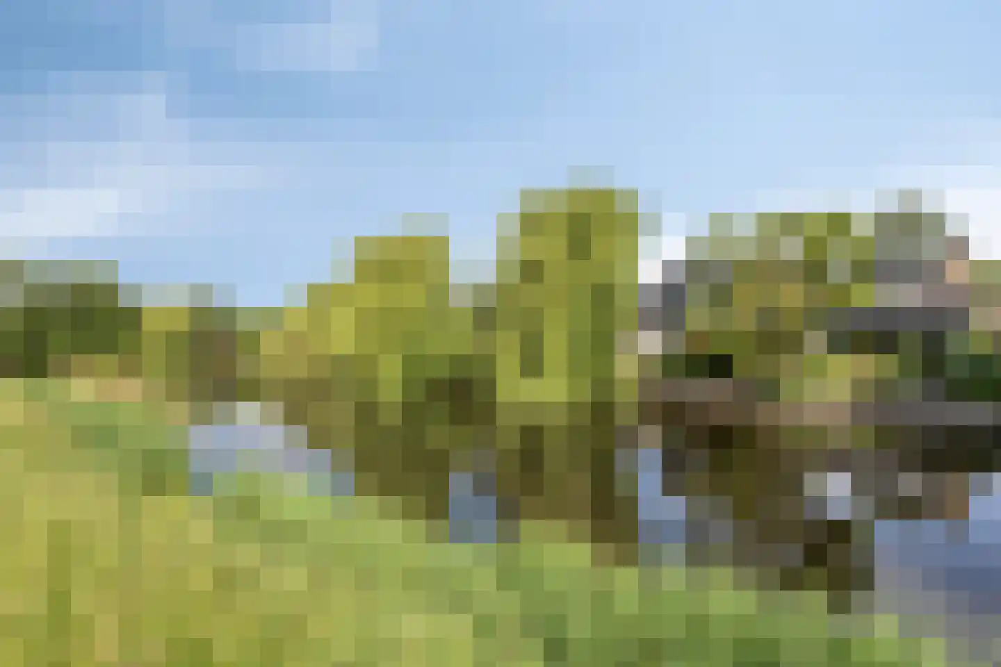 Fazantenhof 61 Schagen thumbnail 38