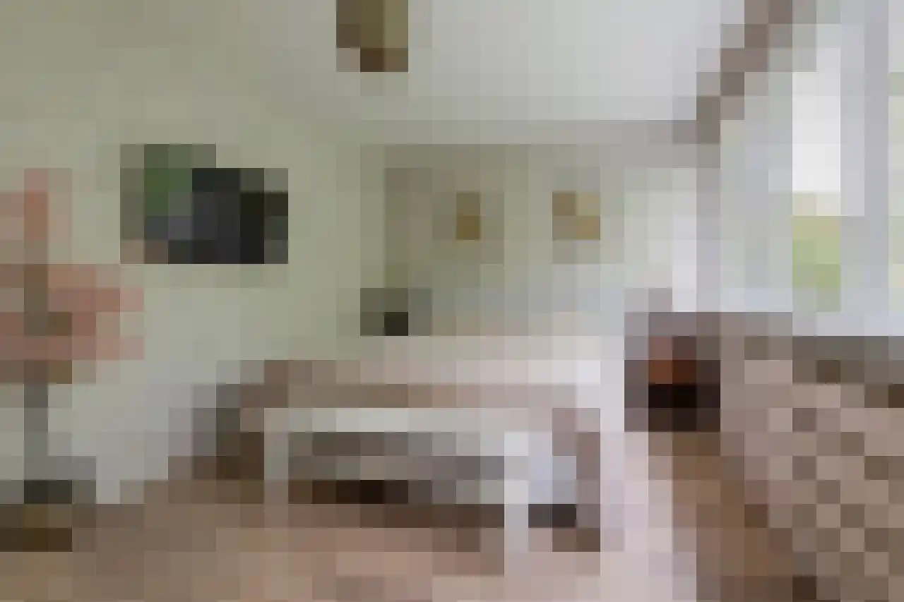 Fazantenhof 64 Eemnes thumbnail 28