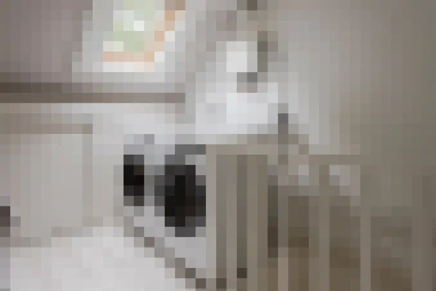 Fazantenhof 64 Eemnes thumbnail 37