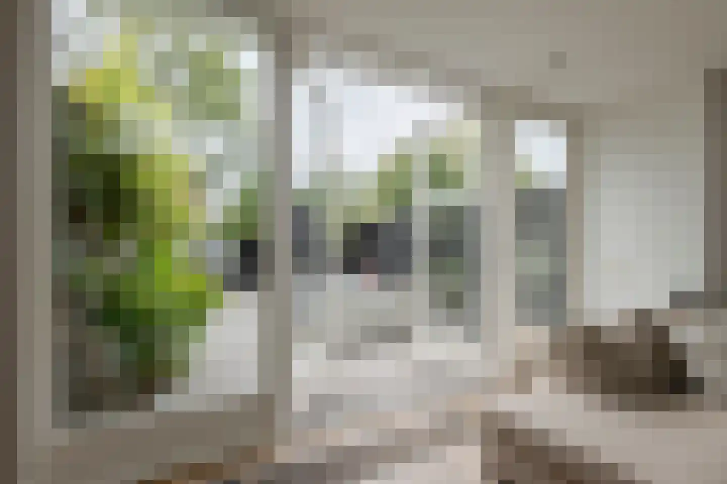 Fazantenhof 64 Eemnes thumbnail 43