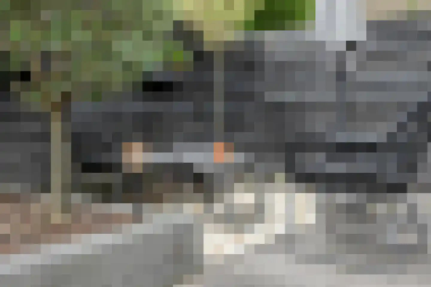 Fazantenhof 64 Eemnes thumbnail 46