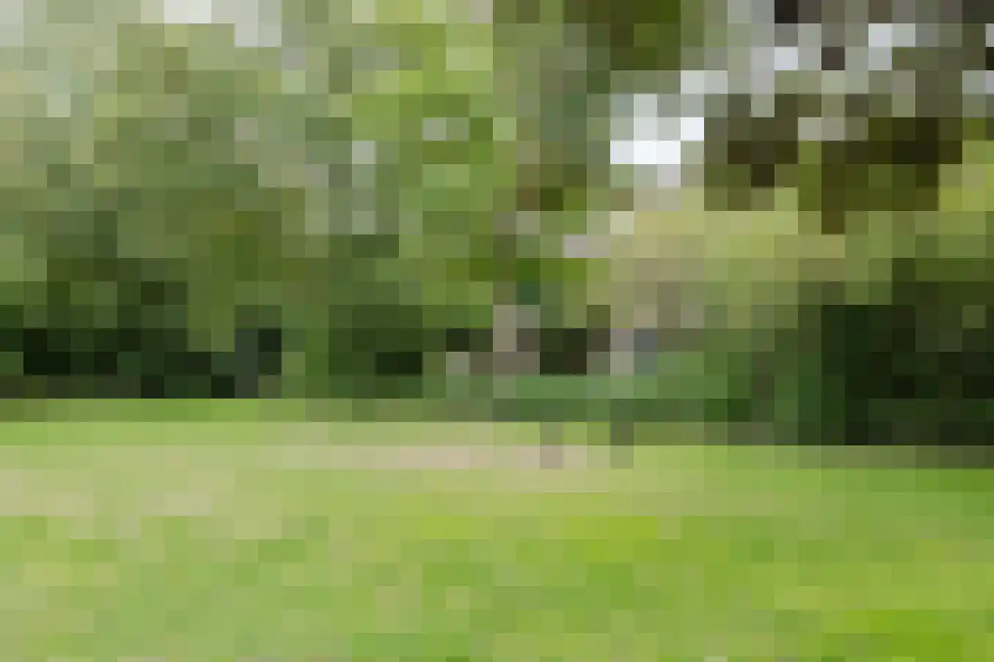 Fazantenhof 64 Eemnes thumbnail 51
