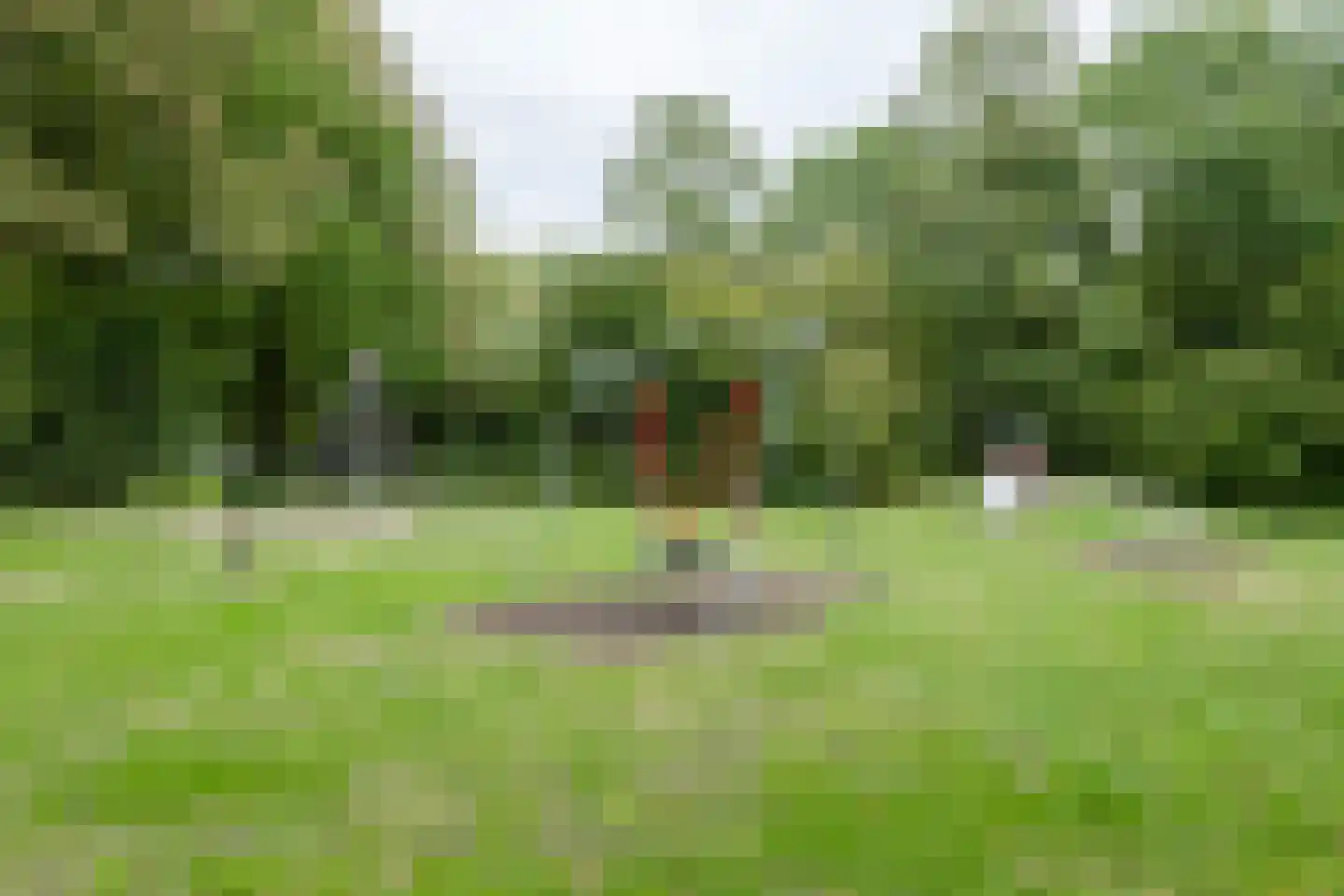 Fazantenhof 64 Eemnes thumbnail 52