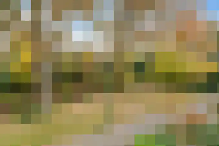 Fazantenhof 7 Eemnes thumbnail 20