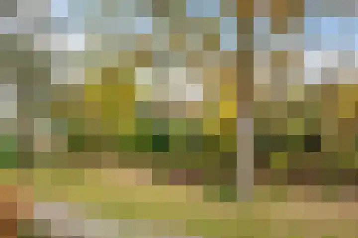 Fazantenhof 7 Eemnes thumbnail 21