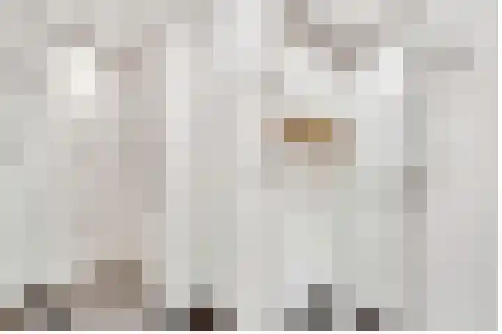 Fazantenhof 7 Eemnes thumbnail 25