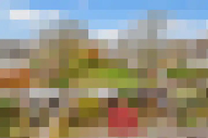 Fazantenhof 7 Eemnes thumbnail 29
