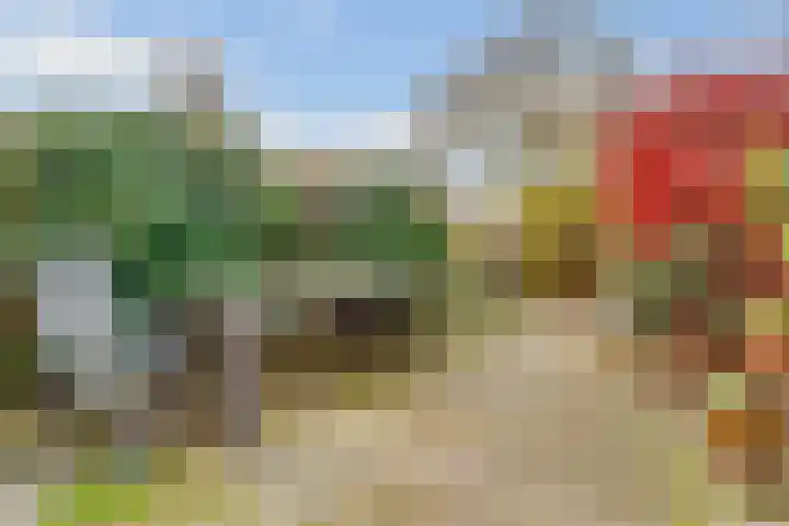 Fazantenhof 7 Eemnes thumbnail 31
