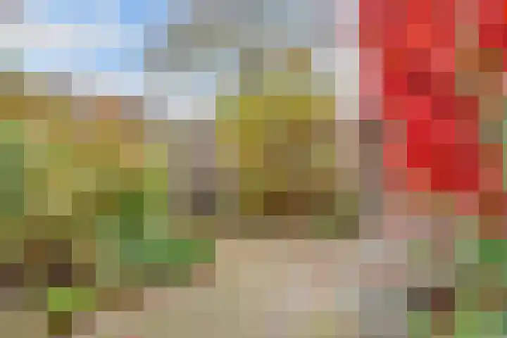 Fazantenhof 7 Eemnes thumbnail 32