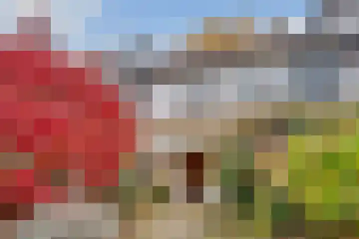 Fazantenhof 7 Eemnes thumbnail 34