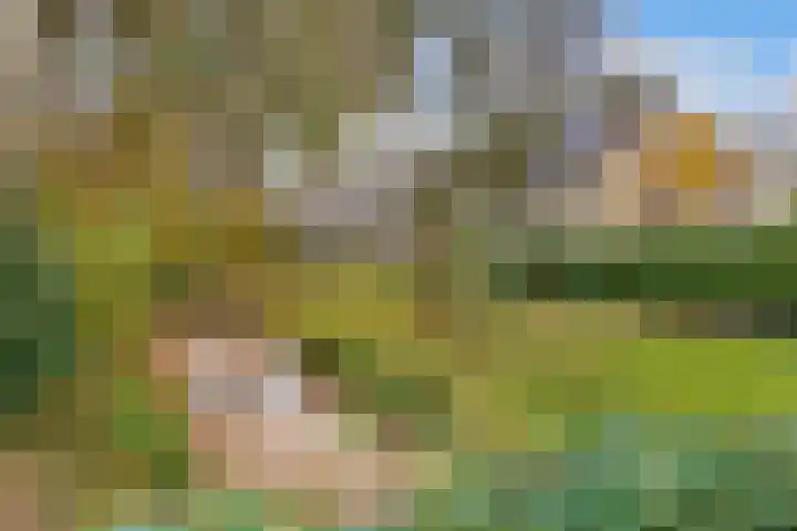Fazantenhof 7 Eemnes thumbnail 36