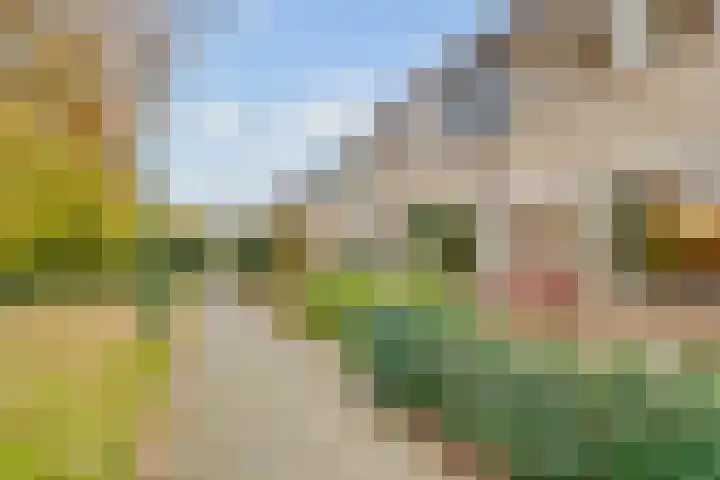 Fazantenhof 7 Eemnes thumbnail 37
