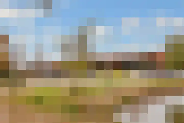 Fazantenhof 7 Eemnes thumbnail 38