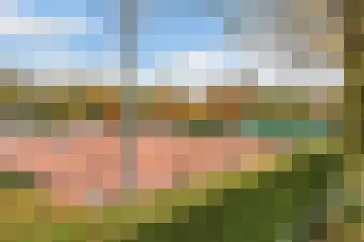 Fazantenhof 7 Eemnes thumbnail 39