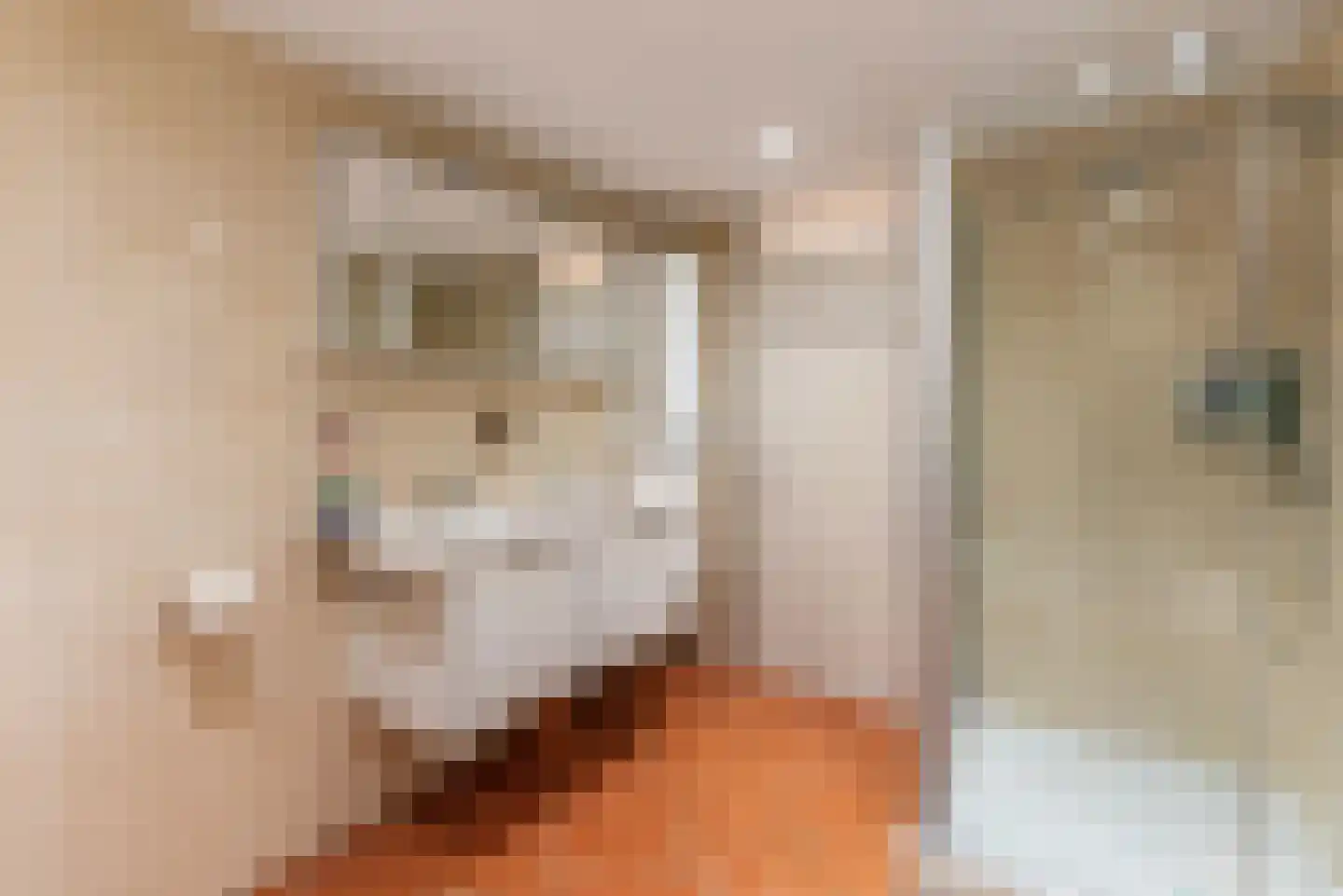 Fazantenhof 70 Eemnes thumbnail 22