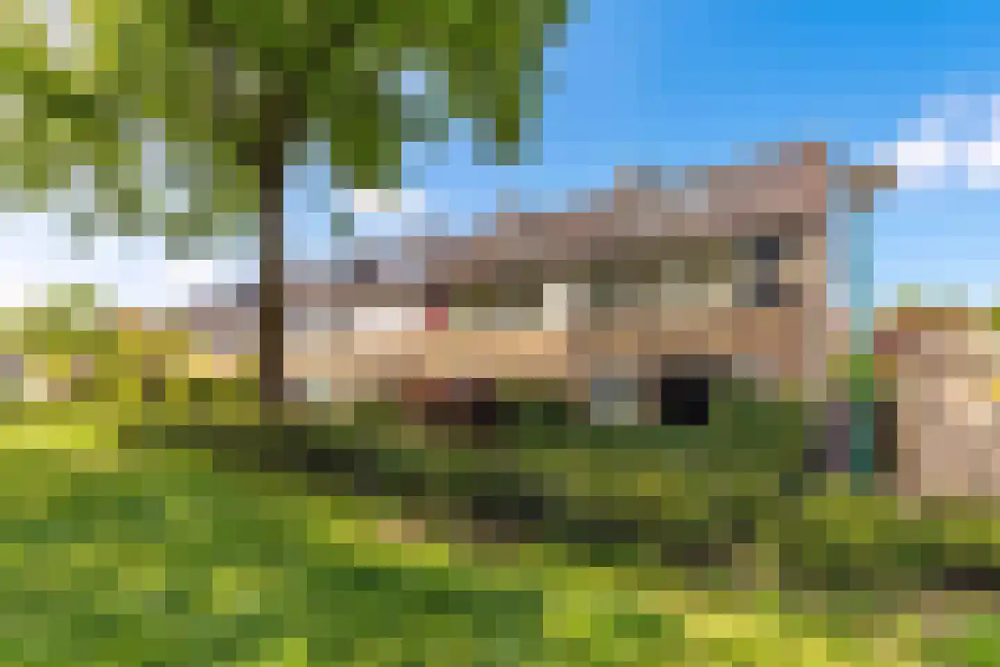 Fazantenhof 70 Eemnes thumbnail 31
