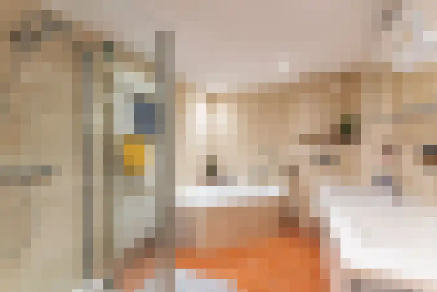 Fazantenhof 70 Eemnes thumbnail 4