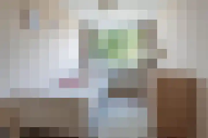 Fazantenhof 74 Eemnes thumbnail 18