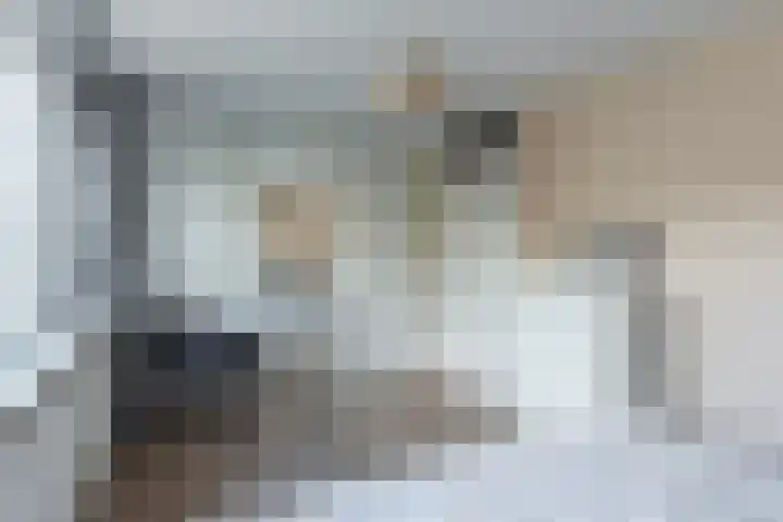 Fazantenhof 74 Eemnes thumbnail 20