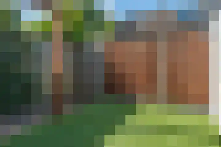 Fazantenhof 74 Eemnes thumbnail 33