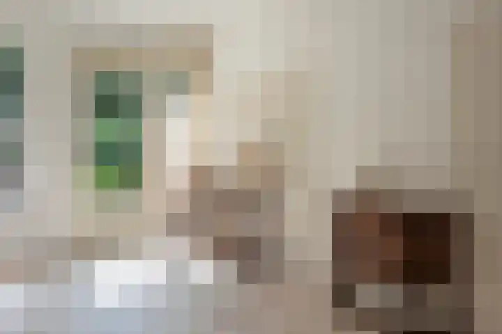 Fazantenhof 77 Eemnes thumbnail 11
