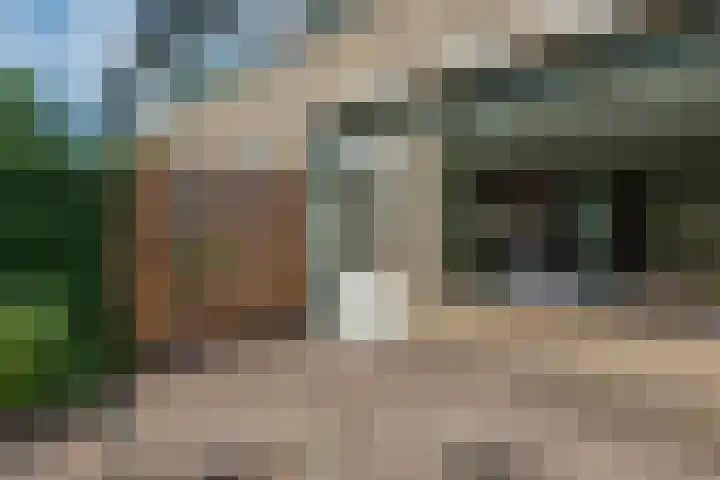 Fazantenhof 77 Eemnes thumbnail 34
