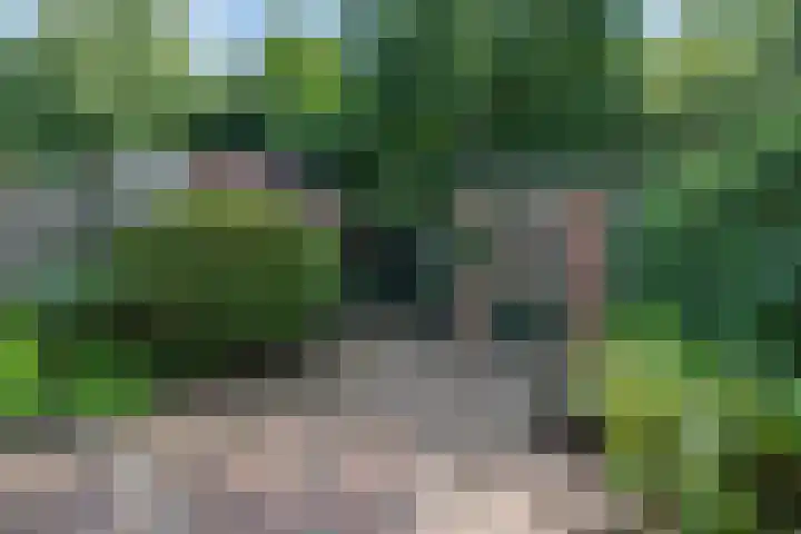 Fazantenhof 77 Eemnes thumbnail 36
