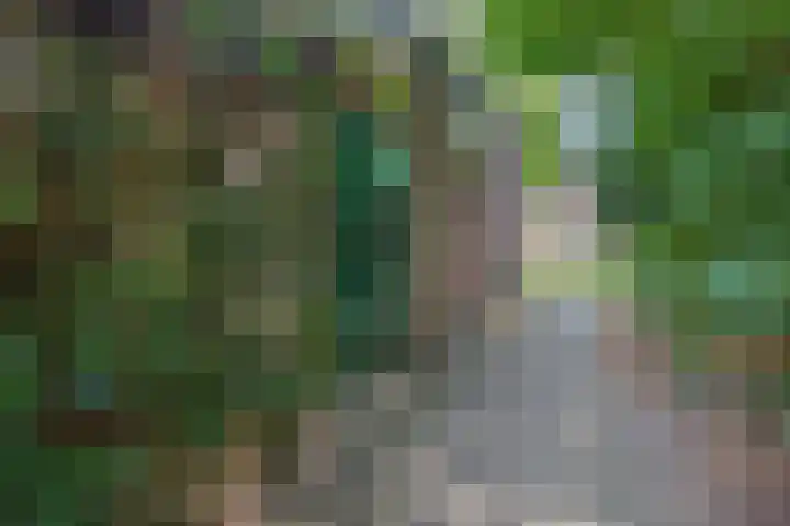 Fazantenhof 77 Eemnes thumbnail 39